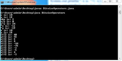 Bitwise operator-javaform