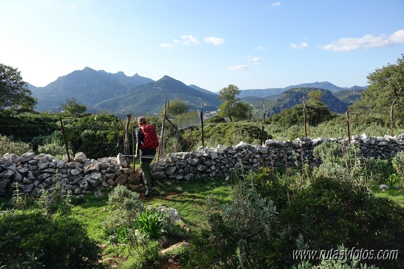 El Cintillo - Sierra Baja de Ubrique - Paso del Bombo - Ubrique - Cañada de los Pernales