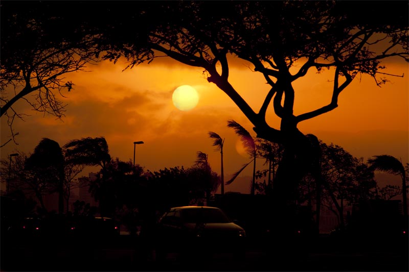 Hermínio Nunes: Entardecer na Beira Mar Norte