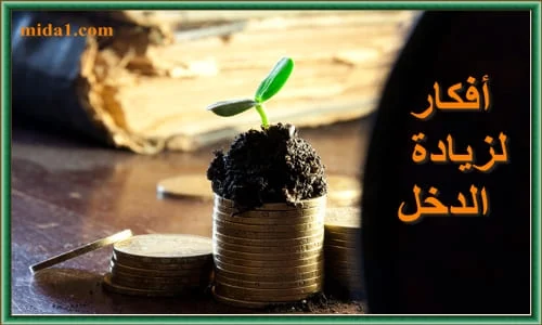 أفكار لزيادة الدخل في السعودية