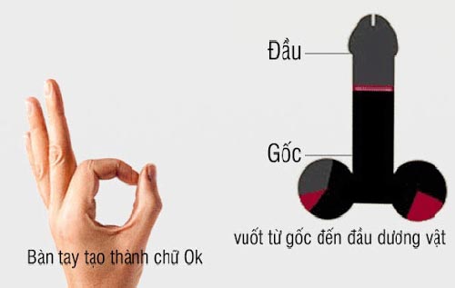 Các bài luyện tập cho cậu nhỏ