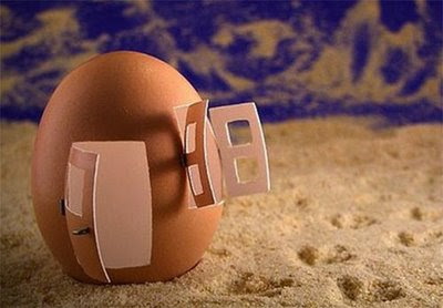 Funny gallery: very funny Egg picture photo collection 2012