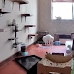 The Most Utterly Chaotic Cat Video You'll Ever See
