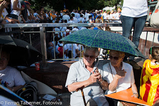 Ferran Taberner i Raset, Fotoviva