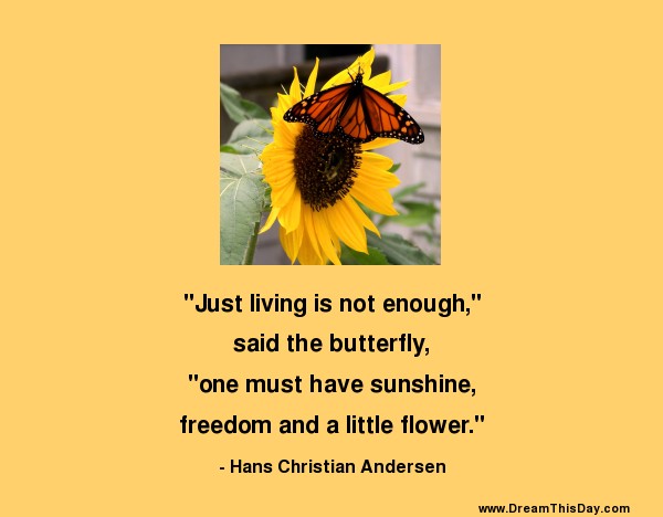 Andersen Butterfly
