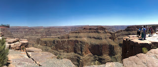 David Brodosi and family looking out over the grand canyon