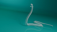 3d model snake skeleton