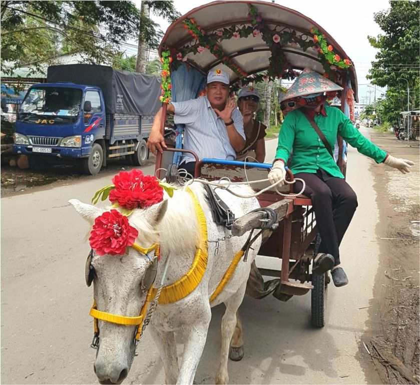 Đi xe ngựa trên đường làng - tour Cà Mau 4 ngày 3 đêm