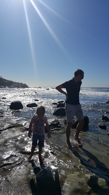 point-loma-tide-pools