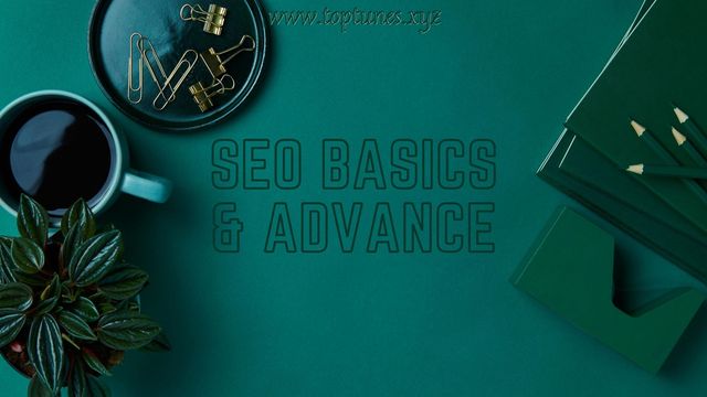 SEO basics for newbies