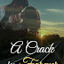 Book Review Of A Crack In Forever by Barbara Avon