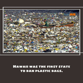 Hawaii was the first state to ban plastic bags.