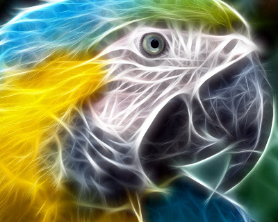 wallpaper bird. Cool 3D Bird Wallpaper and