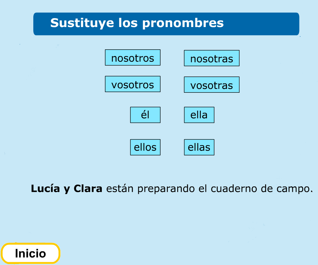 http://www.primerodecarlos.com/TERCERO_PRIMARIA/febrero/Unidad8/lengua/actividades/pronombre/indice.swf