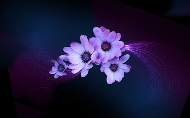 Purple Light Flower Wallpaper 2016 Dekstop