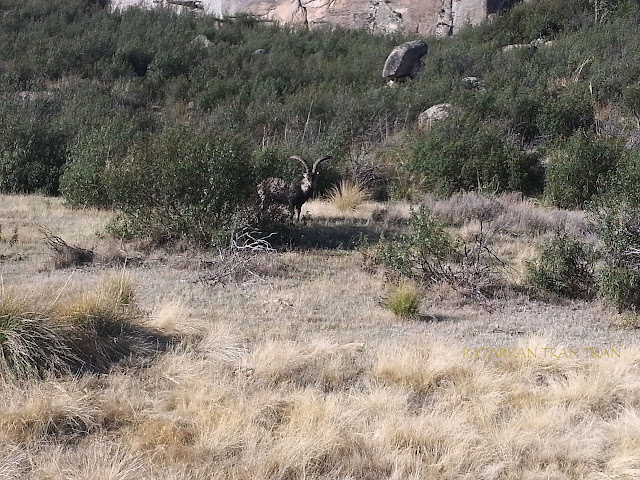 El Yelmo con niños. La Pedriza. Parque Nacional de Guadarrama.