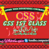 CSS 1st class with sandhu computers