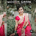  Photoshop Green Moody Presets DNG & XMP Free Download