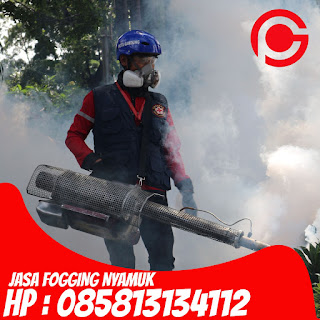 Call : 085813134112 Jasa Fogging Nyamuk di Bekasi Timur