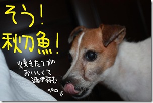 今日カズ１００９１９　３