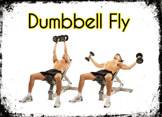 تمرين الفراشة بالدمبل - Dumbbell fly