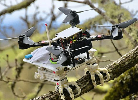 اسٹینفرڈ: سائنسدانوں نے ایک روبوٹ نما شے تیار کی ہے جسے کسی بھی ڈرون پر لگایا جاسکتا ہے۔ اس طرح ڈرون کسی ناہموار جگہ پر اترسکتا ہے، اشیا کو گرفت کرسکتا ہے اور درخت کی ٹہنی کو اپنے پنجے سے گرفت کرکے اس پر بیٹھ سکتا ہے۔