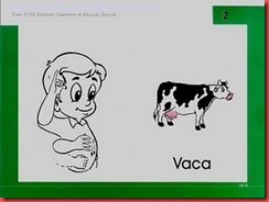 vaca