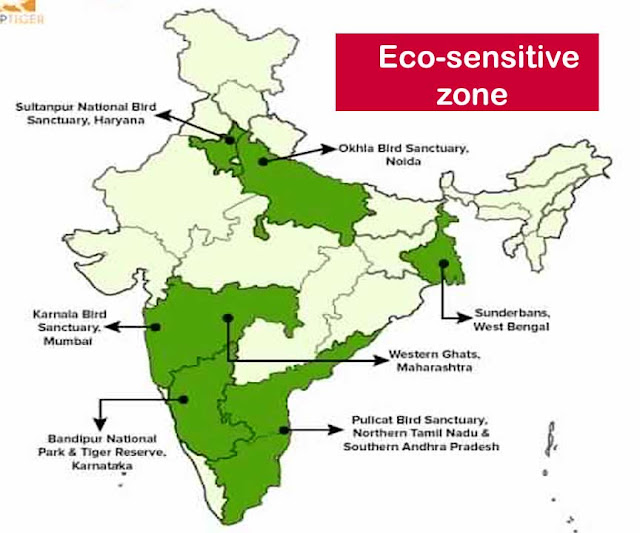 इको-सेंसिटिव जोन