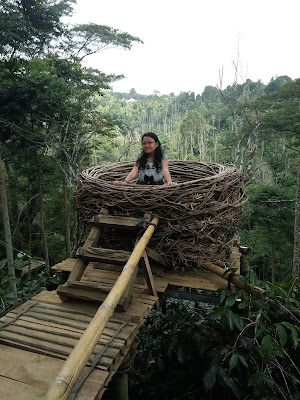 Ni Komang Friska Pradnya yanti - sarang burung air terjun cinta