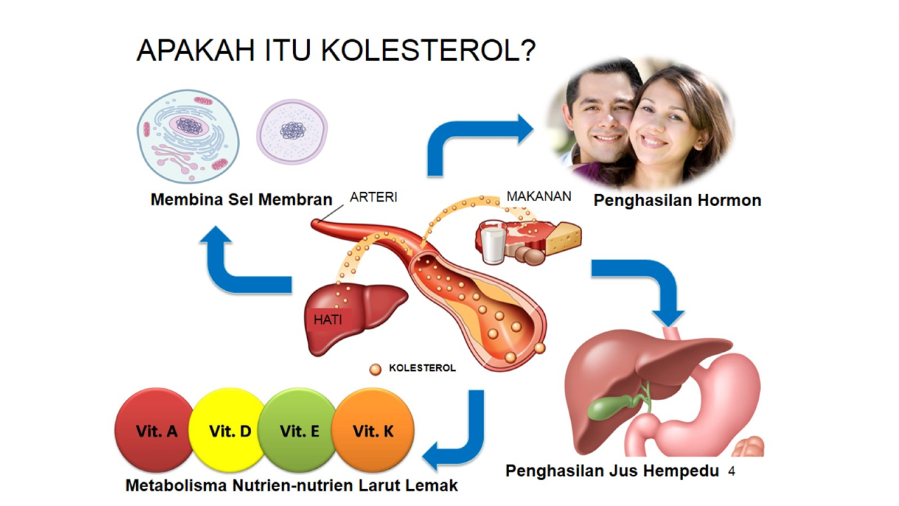 Warung Sehat I Kolesterol Apa Seh