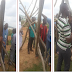You Need To See This! Extremely Long Snake Found In Abuja (See PICS)