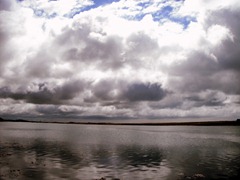 DSCF1326