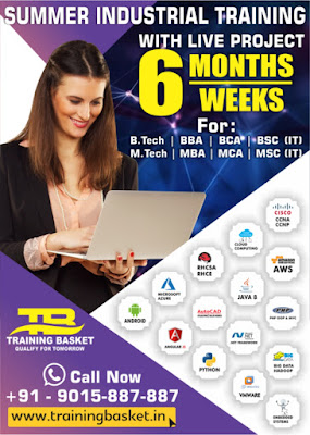 Join 2/4/6 weeks Summer Training with Training Basket | 100% job placement assistance support