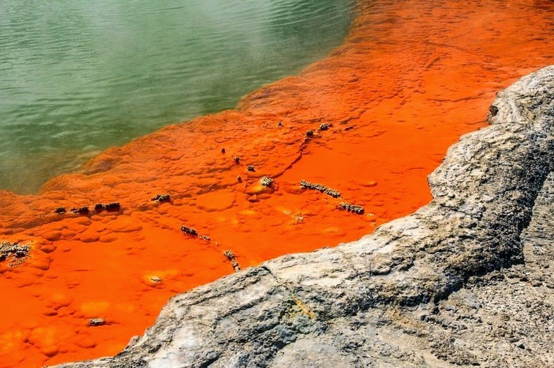 champagne-pool-1