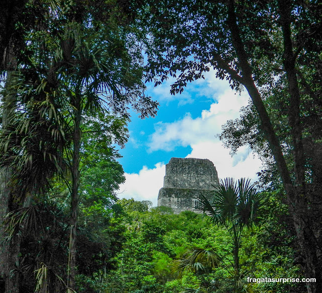 Tikal na Guatemala - Templo do Grande Sacerdote (Templo 3)