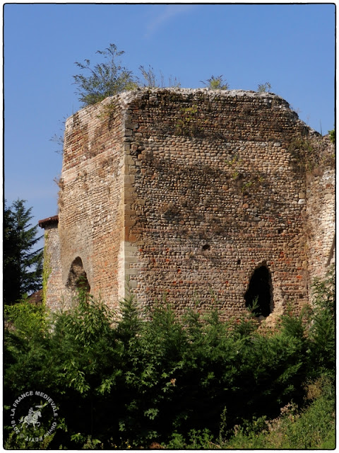 SAINT-LAURENT-DE-MURE (69) - Château-fort delphinal