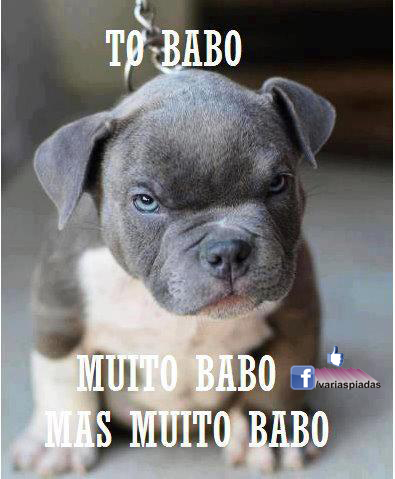 To babo... Muito babo, mas muito babo. Foto para Facebook.