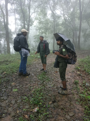 Keerippara trekking