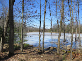 Sterling Marsh, North Country Trail