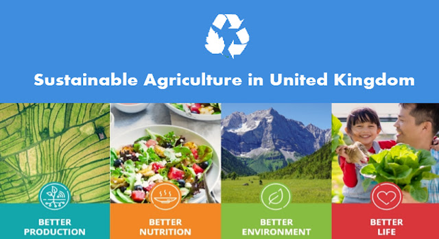 Sustainable Agriculture in United Kingdom