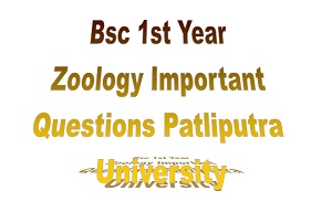 Bsc 1st Year Zoology Important Questions 2022 Ppu In Hindi