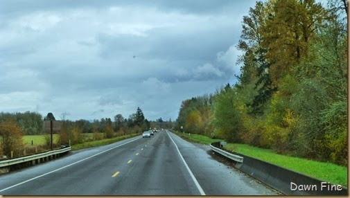 mushrooms-and-drive-to-eugene_091_th