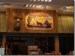 A shooting gallery for the kids