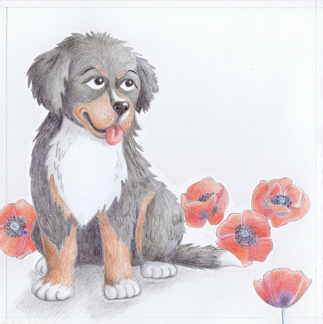 Bernise mountain dog poppy illustration berni alpi karjakoer moonid illustratsioon Aide Leit-Lepmets