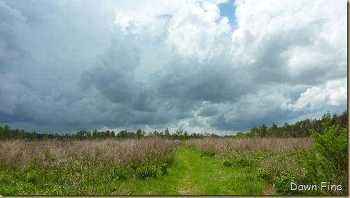 Clouds near Cassins Sp_007