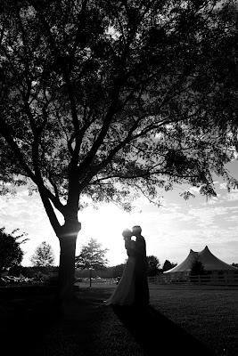 Virginia Wedding Photographer Photography
