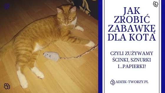 jak zrobić zabawkę dla kota diy