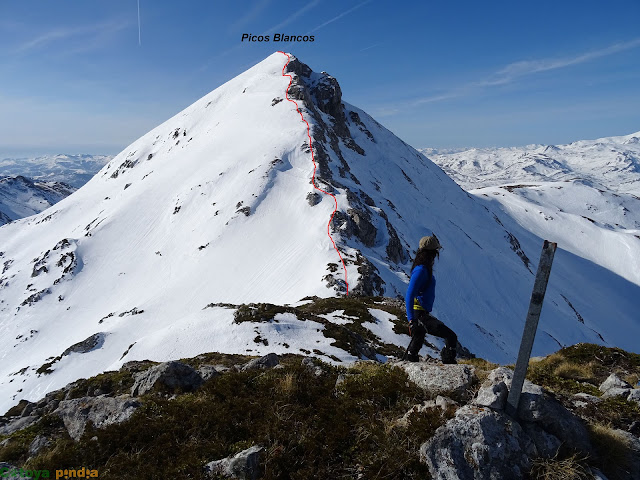 En la cima del Pico Cebolléu