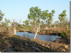 Bungles Susan 030