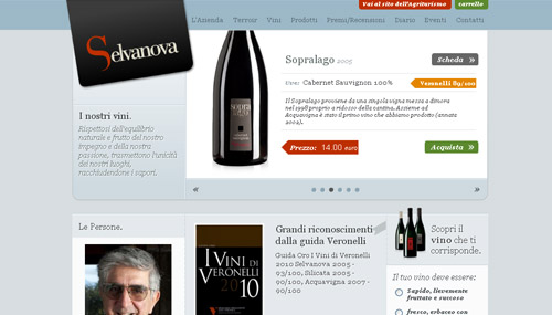 Vini Selvanova web design